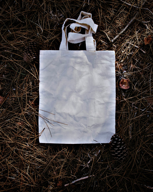 white paper bag on brown grass